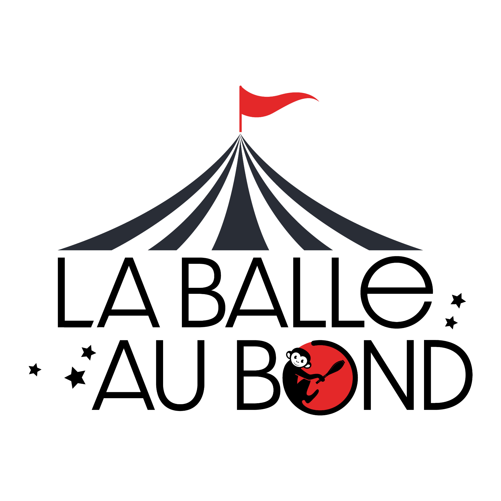 spectacle balle au bond